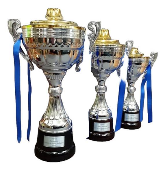 Terna Copa Plástica Asa Plateada 31-27-24cm Tapa Base Madera 0