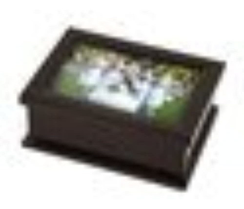 Caja De Joyeria Musical Sofisticada Moderna De 4 X 6 Marcos 0