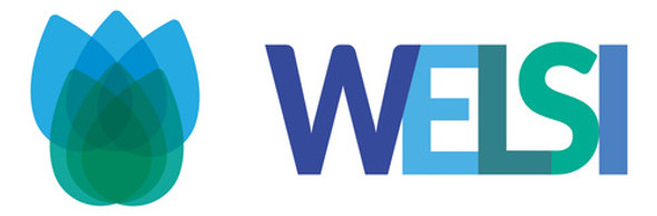 Hansgrohe 95282 Repuesto Boquilla Aireador Filtro Griferia 1 Hansgrohe 95282 Repuesto Boquilla Aireador Filtro Griferia 1