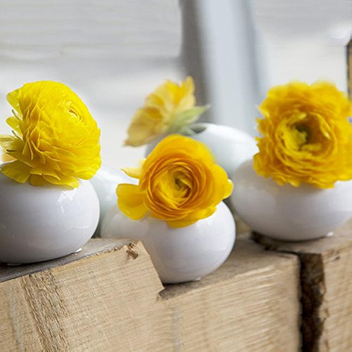 Chive - Juego De 6 Jarrones De Cerámica Ovalados Pequeños De 1