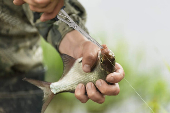 Alicates De Pesca Hikary De Punta Larga, Equipo De Pesca En 1