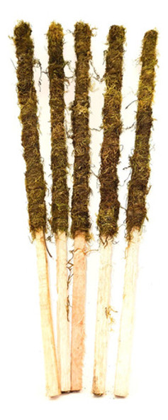 Tutor De Musgo Turba Sphagnum Para Plantas 160 Cm Pack X 10 0