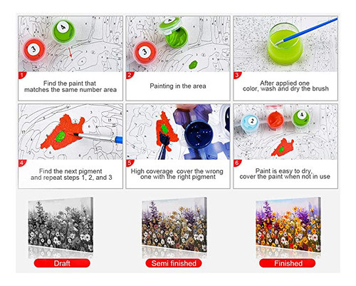 Pintura Por Número Para Adultos, Kits De Pintura Por Núme. 1