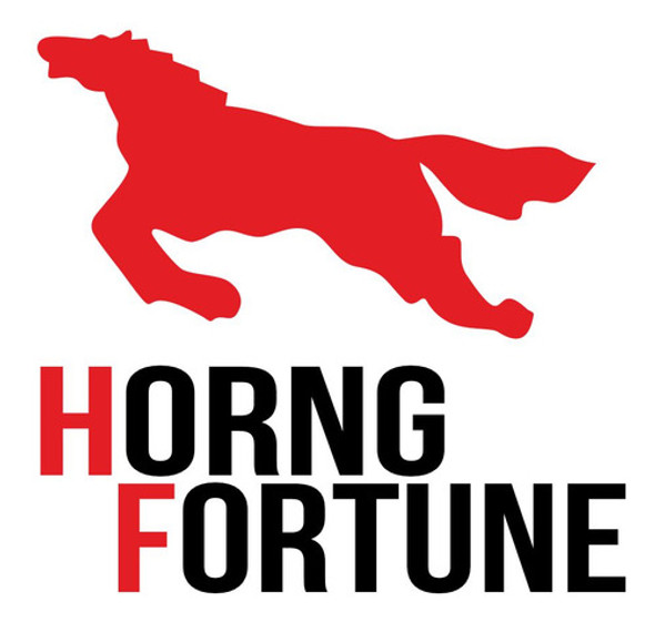 Cubierta 400- 8 F875 Horng Fortune + Camara Hfk 1