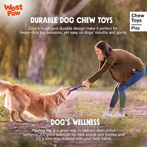 West Paw Zogoflex Echo Zwig Squeezy Dog Fetching Stick - Jug 1