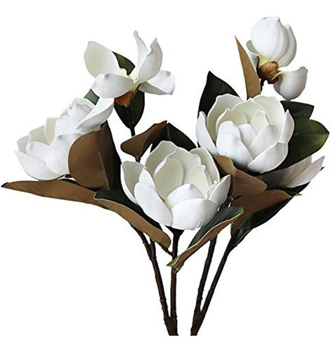 Liucogxi Flor De Magnolia Artificial Vintage Blanca 6 Cabeza 0