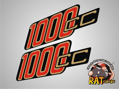 Calcos Bmw / Cachas / 1000cc X 2 0