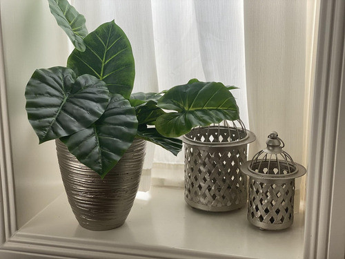 Conjunto De Hojas Eternas 50cm 0