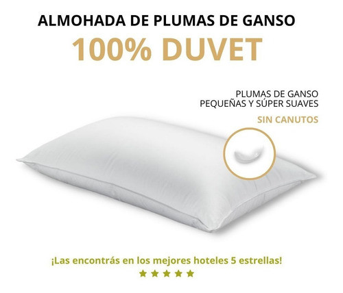 Almohada De Plumas 100% Duvet 50x70 - 950 Gramos Premiun 0