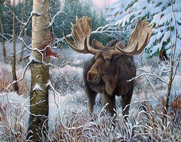 Kit De Pintura Con Diamantes 5d Alce En El Bosque 40x30 Cm 0