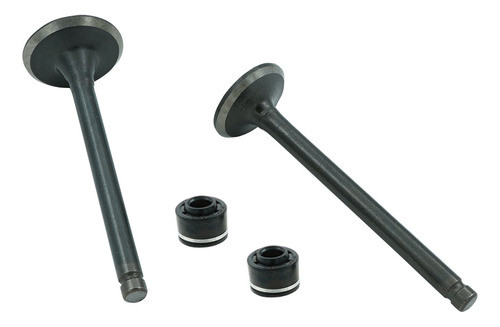 Set Valvulas Admision Escape + Retenes Skua 250 / Adventure 0