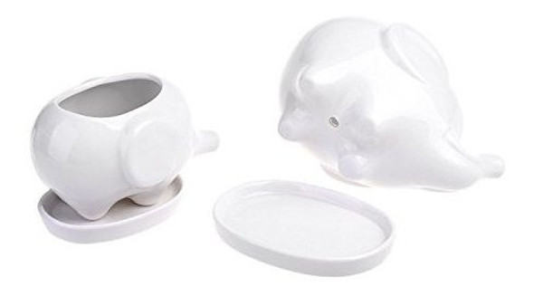 Gift Pro Elephant Plant Window Cajas Con Bandeja Set De 2 Cu 1 Gift Pro Elephant Plant Window Cajas Con Bandeja Set De 2 Cu 1