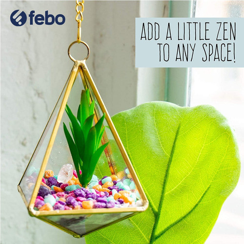 Set Terrario Horizon Stmt Crystal Terrarium Jardín Colgante 1