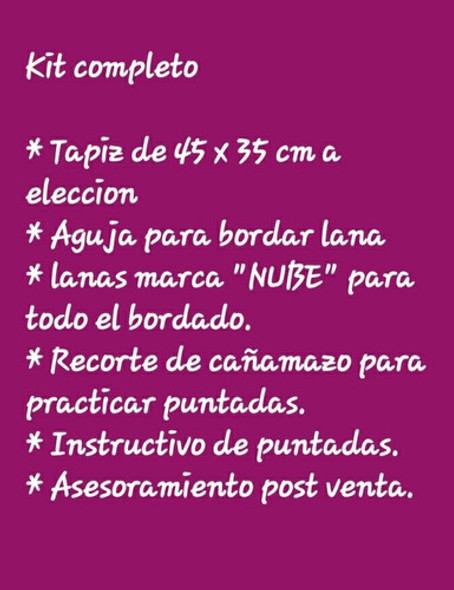 Catalogo 1 - Tapiz Pintado P/bordar - Set Completo - Aguja 1