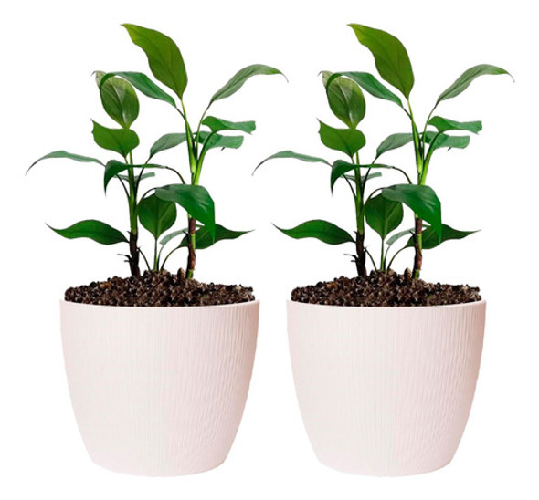 Maceta Plástica Premium N°27 Pack X2 0 Maceta Plástica Premium N°27 Pack X2 0