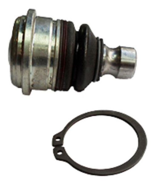 Rotula Thompson Santa Fe 0