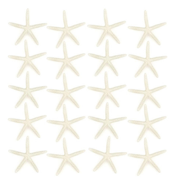 ~? Jangostor 20 Pcs Starfish, 2.5  A 4  Conchas Marinas Natu 0 ~? Jangostor 20 Pcs Starfish, 2.5  A 4  Conchas Marinas Natu 0