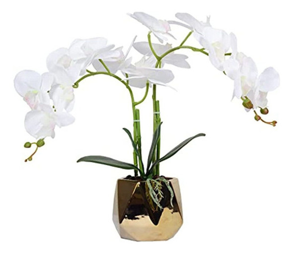 W&w Arreglo De Plantas Y Flores Artificiales De Orquídeas En 0