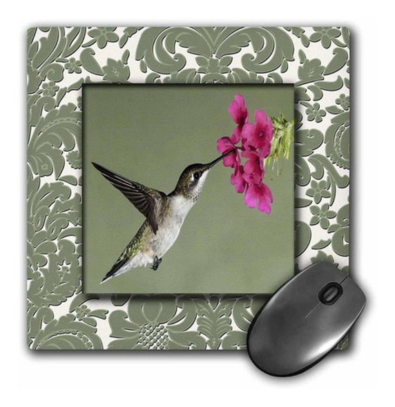 3drose Llc 8 x 8 x 0.25 inches Mouse Pad, Colibrí Néctar 0 3drose Llc 8 x 8 x 0.25 inches Mouse Pad, Colibrí Néctar 0