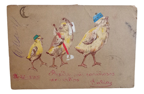 Tarjeta Postal Antigua Familia Pollitos 1905 0