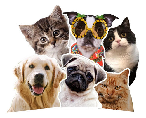 Stickers Calcos Vinilos Premium - Personalizados X50u 0