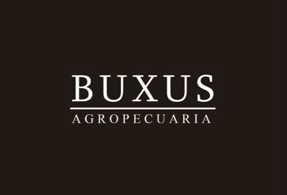 Barrera Protectora Anti Hormigas X 1 Mt Para Árboles Plantas 1