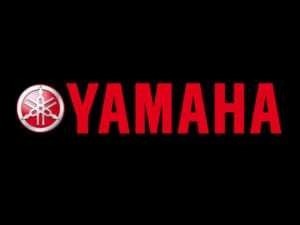Yamaha Virago 1000 Juego De Asiento Y Punsuar Hitachi Punzua 0