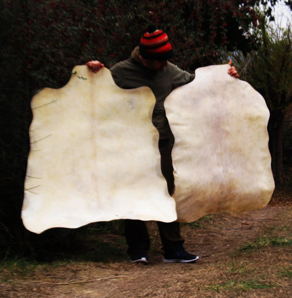 Cuero De Cabra Pelado. Parche Percusión 0