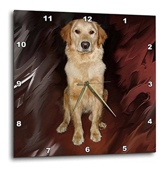 Dpp _ _ _ _ _ _ _ _ _ _ 4551 Perros Dorado Retriever  Golden 0