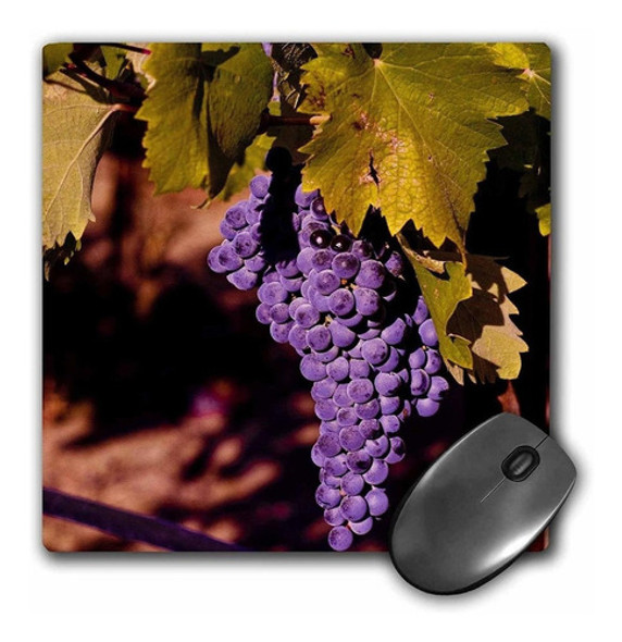 3drose Llc 8 x 8 x 0.25 inches Mouse Pad, Usa, Northwest, 0 3drose Llc 8 x 8 x 0.25 inches Mouse Pad, Usa, Northwest, 0
