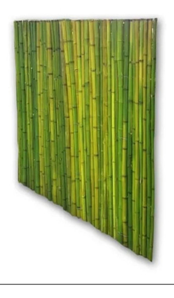 Panel De Caña 2m Basico Altura Buenos Aires Bambu 0 Panel De Caña 2m Basico Altura Buenos Aires Bambu 0