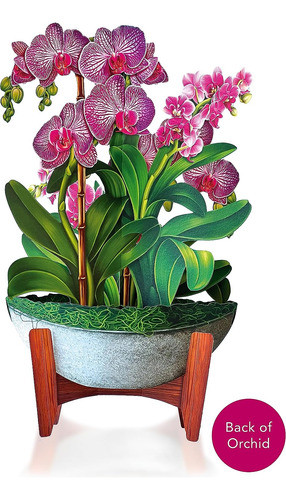 Tarjetas 3d Para Agradecimientos. Planta De Orquideas. 1