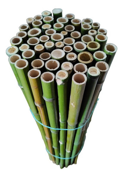 Kit 50 Varas De Bambú Tutores Plantas Cultivo Varios Largos 1