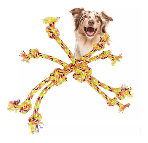 Set X2 Mordillo Tirador Mascota Soga Nudo Nautico Multicolor 0