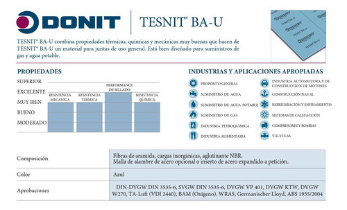 Junta Para Brida Ø 4 S150 Tesnit 1