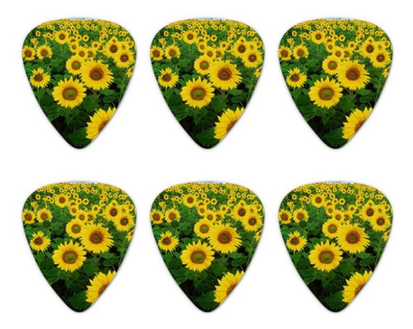 Field Of Sunflowers Púas Para Guitarra (calibre Medio, Juego 0