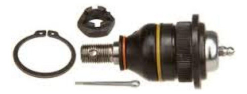 Rotula Susp Superior Galloper 98 E/ad. 0