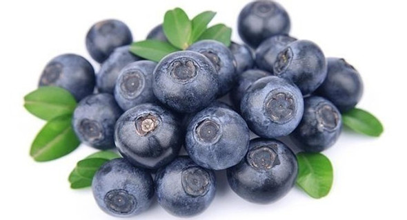 Arándanos Congelados Mataderos 0