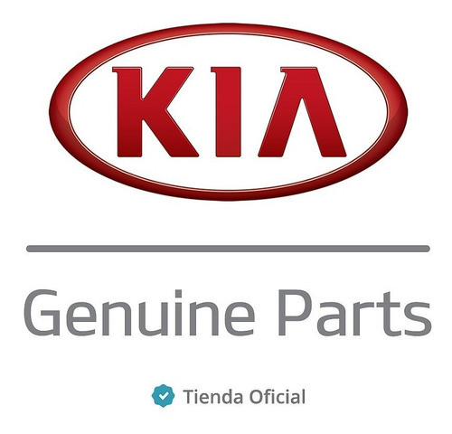 Amortiguador Delantero Derecho Kia Rio 1