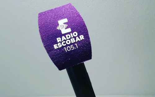 Capuchón Paraviento Antipo Portamicrofono Con Logo Para Tv 0