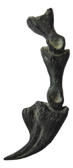 Garra De Dinosaurio Jurassic World Universal Parks Y Mapa 0