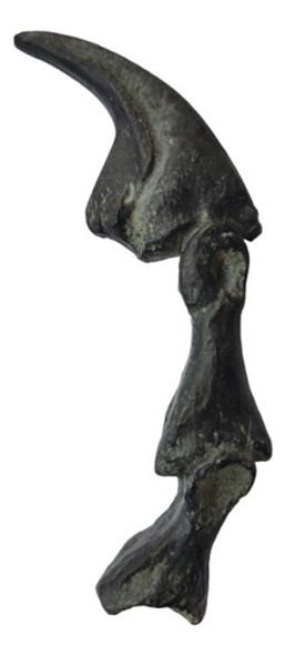 Garra De Dinosaurio Jurassic World Universal Parks Y Mapa 1