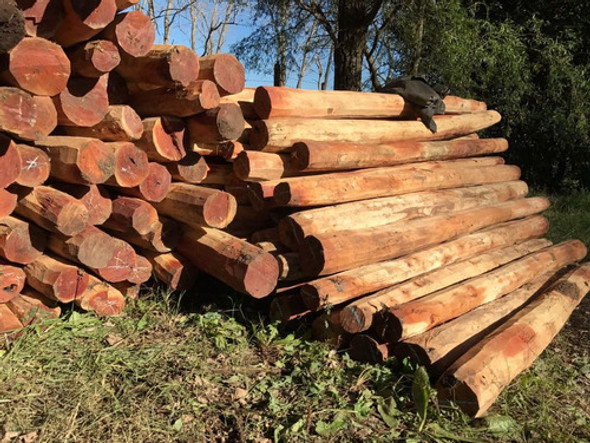 Postes Quebracho Colorado Labrados 2,20mts. Medio Reforzado 1 Postes Quebracho Colorado Labrados 2,20mts. Medio Reforzado 1