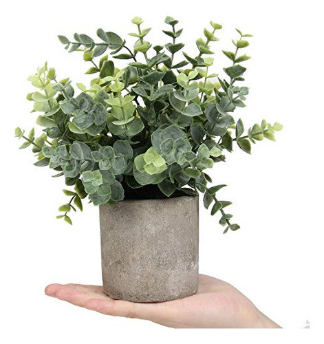 Flojery Mini Plantas En Macetas De Eucalipto Artificial Boj 1