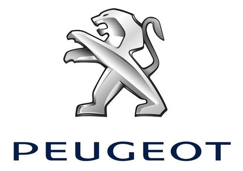 Juego De Espiral Resorte Peugeot Expert Diesel Trasero 1