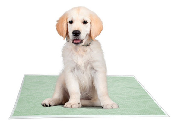 Paños Pañales Entrenamiento Compact Max 20 U Paño Pet® 90x60 1