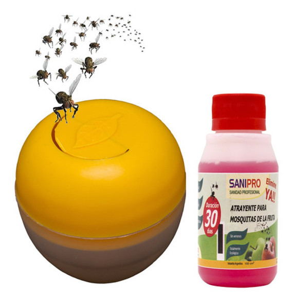 12 Trampa Mosquita Cocina Mosca Fruta Sin Veneno Muy Eficaz 0