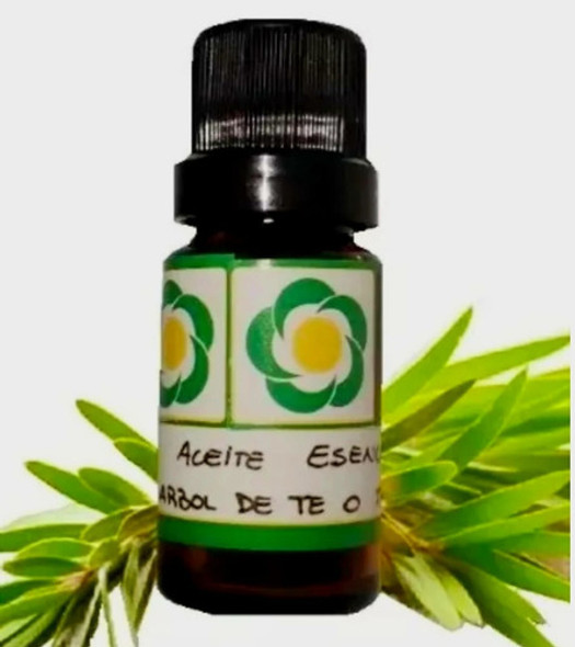 Aromaterapia Árbol De Te O Tea Tree 15ml 1 Aromaterapia Árbol De Te O Tea Tree 15ml 1