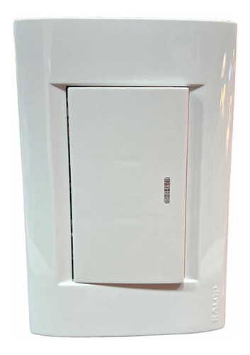 Plaqueta Con Llave De Luz Interruptor Teclon Entero Kalop 1