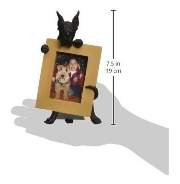 Gran Danés Marco Negro Para Fotos Favoritas 25 Por 35 Pulgad 1